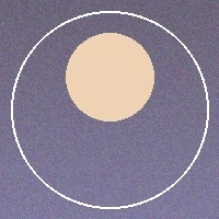 用户林美琪头像